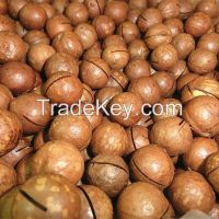 macadamia nut