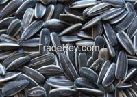 Sunflower Hulled Seeds