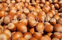 natural hazelnuts