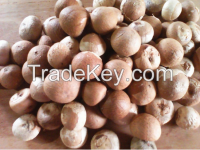 Dried Whole Betel Nut