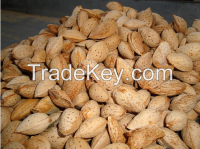 sweet Almond with best price