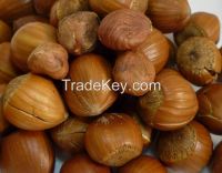 organic raw hazelnut