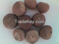 Whole Dried Betel Nuts