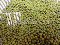 Mung Beans