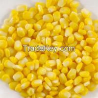 Canned Sweet Corn