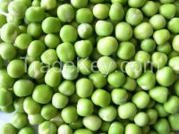 Green Peas