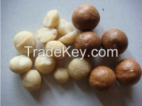 Macadamia Nuts