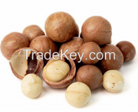 Macadamia Nut