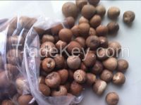 Dried Betel Nut