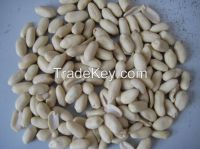 Blanched Peanuts