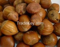 Hazelnuts