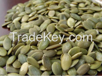 Pumpkin Seed Kernels