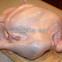 Turkey Meat