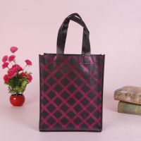 Customized Laminated Shopping Non Woven Bag