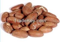 https://es.tradekey.com/product_view/Bitter-Kola-Garcinia-Kola-8148713.html