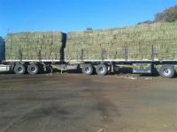 Lucerne Bales (Alfalfa Hay), Timothy Hay Bales