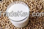 https://www.tradekey.com/product_view/High-Grade-Soy-Powder-Milk-7738057.html