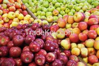 FRESH APPLES FROM SOUTH AFRICA