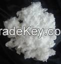 Polyester Staple Fibre