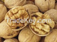 Extra Light Half Walnut Kernel