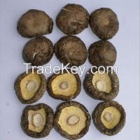 High Quality Organic Dried Shiitake Mushrooms