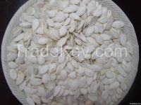 Snow white pumpkin seeds