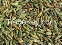 Spices -Cumin Seeds/black cumin seed