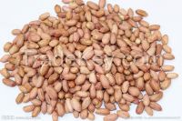 wholesale high quality peanut not shell