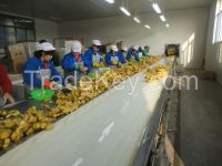 2014 Season Fresh Ginger, Good Quality and Competitive Price