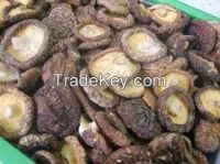 new crop good quality dired mushroom