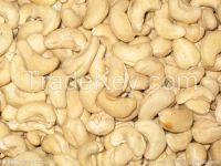 high quality raw cashew nuts