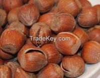 Organic Hazelnuts kernel