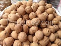 walnut kernel in halves,walnuts halves in China raw walnuts
