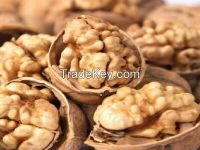 100% pure natural walnut kernels