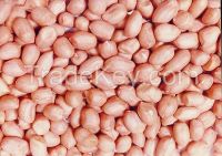 blanched peanut kernels