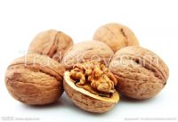 Dried Style whole walnuts in shell