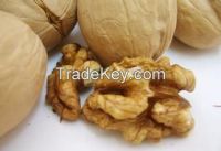 Roasted Walnut In Shell and Without Shell Kernels