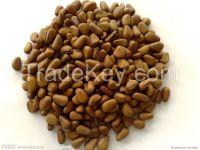 competitive price pine nuts with high nutritional value for sale