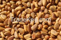 pine nuts for sale