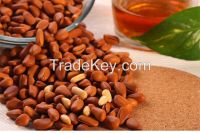 Selling Pine Nuts In China New Crop