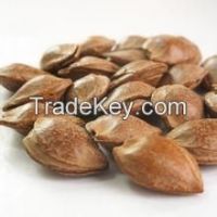 Raw almonds with high quality for sale