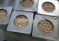 CASHEW NUT W240 W320 W450