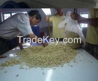 W320 Raw Cashew Nut