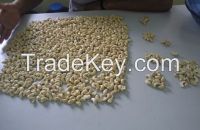 Salt and Unsalted CASHEW NUTS