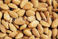 Xinjiang Badam/Chinese almond