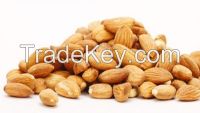 bitter almond with high quality
