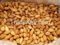 Roasted Almonds in Shell
