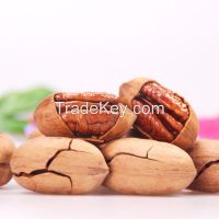 Raw pecan nuts for sale