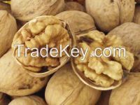 Walnut inshell/unshell  with HACCP,ISO ,SGS certificate.