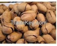 Raw pecan nuts for sale